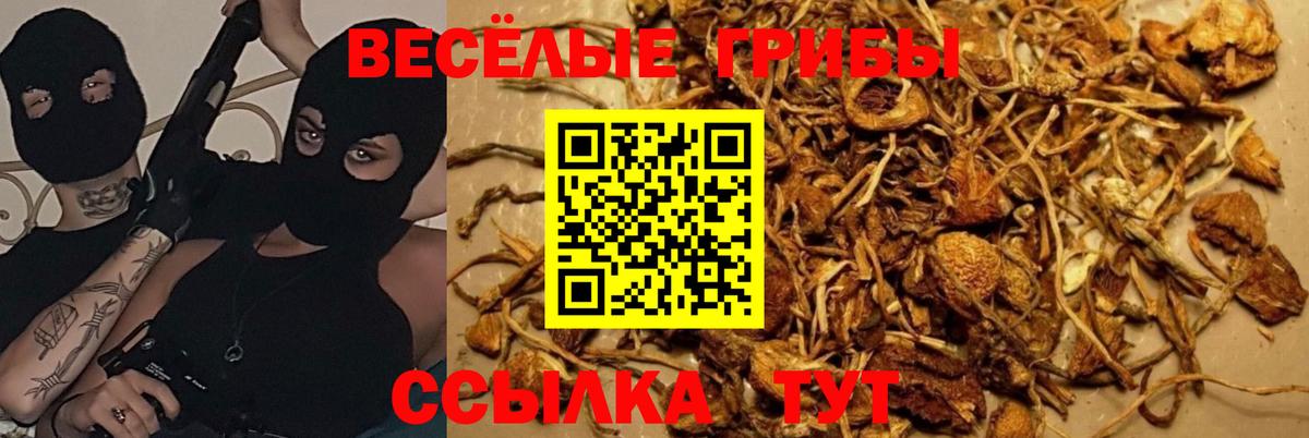 Шелехов  Псилоцибиновые грибы мухоморы  где купить   Вход с VPN 