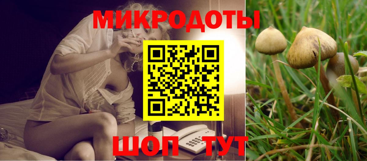 Шелехов  ГАШ  MDMA  КОКАИН  ЭКСТАЗИ  МЕФ кристаллы  Марихуана  Вход с VPN  ГАШИШ  NBOMe 